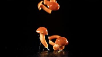 Drop pickled mushrooms with splashes. Filmed on a high-speed camera at 1000 fps. High quality FullHD footage video