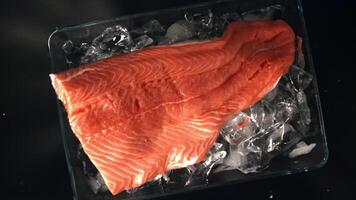 Salmon fillet falls on the ice. Filmed is slow motion 1000 fps. High quality FullHD footage video