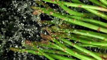 Asparagus falls into the pot. Filmed is slow motion 1000 fps. High quality FullHD footage video