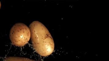 Potatoes fall into the water. Filmed is slow motion 1000 fps. High quality FullHD footage video