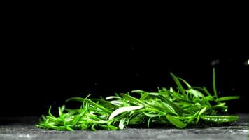 Branches of rosemary fall on the wet table. Filmed is slow motion 1000 fps. High quality FullHD footage video