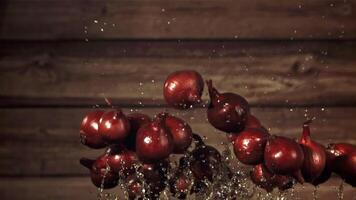 cebollas con agua gotas en volar. filmado es lento movimiento 1000 fps. alto calidad full HD imágenes video