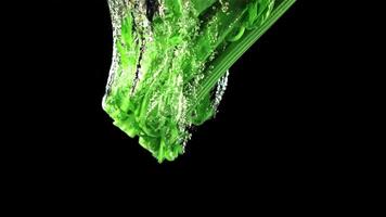 Super slow motion fresh celery falls under the water with air bubbles. On a black background. Filmed on a high-speed camera at 1000 fps. High quality FullHD footage video