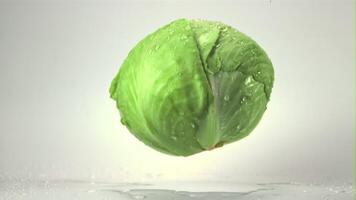 Super slow motion of the fork cabbage falls on the table with drops of water.Filmed at 1000 fps. On a white background. video