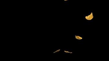 Super slow motion cornflakes fall on the table. On a black background. Filmed on a high-speed camera at 1000 fps. video