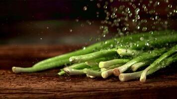 super lent mouvement sur le vert oignons laissez tomber l'eau gouttelettes. filmé sur une haute vitesse caméra à 1000 fps.on une en bois Contexte. video