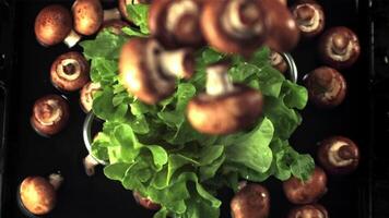 Super slow motion mushrooms fall on lettuce leaves in a colander. On a black background.Filmed on a high-speed camera at 1000 fps. video