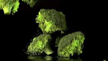 súper lento movimiento brócoli caídas en el mesa con salpicaduras de agua. en un negro fondo.filmado en un alta velocidad cámara a 1000 fps. video