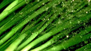 Super slow motion water drips on the green onion. Filmed on a high-speed camera at 1000 fps.Macro background. High quality FullHD footage video