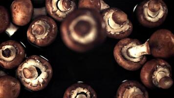 Super slow motion one fresh mushroom falls on the water with splashes.Filmed on a high-speed camera at 1000 fps. On a black background. video