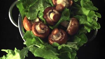 Super slow motion of the colander with mushrooms and lettuce falls on the water with splashes. On a black background. Filmed at 1000 fps. video