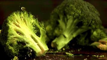 super langzaam beweging Aan de stukken van broccoli laten vallen water druppels. tegen een donker achtergrond.gefilmd Aan een hoge snelheid camera Bij 1000 fps. video