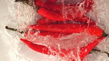 súper lento movimiento rojo caliente chile pimienta caídas dentro el agua con salpicaduras en un blanco antecedentes. filmado en un alta velocidad cámara a 1000 fps. alto calidad full HD imágenes video