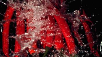 Super slow motion pods of red chilli fall on the water with splashes. On a black background.Filmed on a high-speed camera at 1000 fps. High quality FullHD footage video