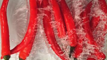 Super slow motion fresh chilli pepper falls into the water with splashes. On a white background. Filmed on a high-speed camera at 1000 fps. High quality FullHD footage video