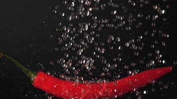 super lento movimento su rosso peperoncino Pepe goccioline di acqua. su un' nero sfondo.filmato su un' alta velocità telecamera a 1000 fps. alto qualità FullHD metraggio video