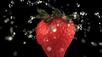 Super slow motion on fresh rotating strawberries drop drops of water. On a black background.Filmed on a high-speed camera at 1000 fps video