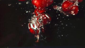 super lento movimento ciliegia cascate in il acqua con spruzzi e aria bolle. su un' nero sfondo.filmato su un' alta velocità telecamera a 1000 fps. video