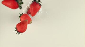 The super slow motion of the fragrant strawberry falls with splashes in the milk. Filmed on a high-speed camera at 1000 fps. On a white background. video