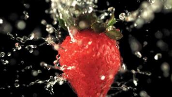 il super lento movimento di il fragola ruota con acqua goccioline. su un' nero sfondo.filmato su un' alta velocità telecamera a 1000 fps. alto qualità FullHD metraggio video