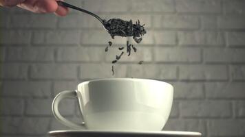 Super schleppend Bewegung mit Löffel fallen trocken Tee Blätter in ein Tasse. auf ein grau Hintergrund. gefilmt auf ein schnelle Geschwindigkeit Kamera beim 1000 fps. video