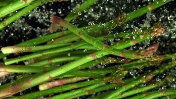 Asparagus falls into the pot. Filmed is slow motion 1000 fps. High quality FullHD footage video