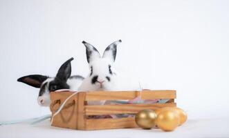 Easter bunny holding a basket with a rabbit inside photo