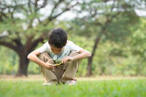 Boy sitting in the park with blowing air bubble, Surrounded by greenery and nature photo