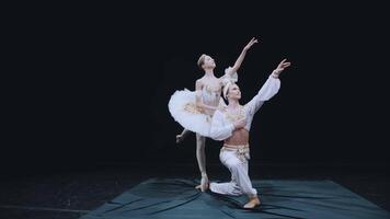 The ballet dancer and the ballerina froze in the beautiful position of classical ballet. The grace of ballet. The frame was taken on a steadicam. Bayadere. video