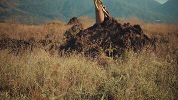 man sitting on a hill with scenic mountain view, contemplating nature. video