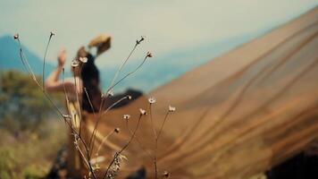 Selective focus on delicate wildflowers with a blurred background of a person in a natural setting. video