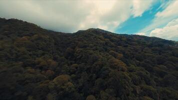 Antenne Aussicht von ein dicht Wald mit Herbst Farben unter ein wolkig Himmel. video