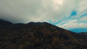 neblig Berg Landschaft mit üppig Grün unter ein wolkig Himmel. video