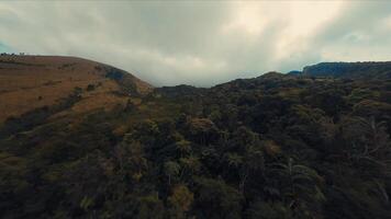 neblig Landschaft mit üppig Grün und rollen Hügel unter ein wolkig Himmel. video