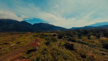 panorâmico Visão do uma exuberante campo com espalhados casas debaixo uma azul céu com fofo nuvens. video