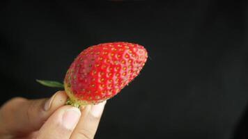 femme en portant une mûr rouge des fraises video