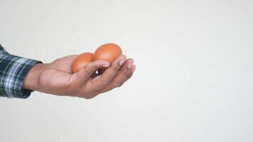 hand holding egg isolated on white video