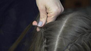 Friseur macht Zöpfe zu ein Mädchen. jung Mädchen bekommt ein schön Frisur. schließen oben video