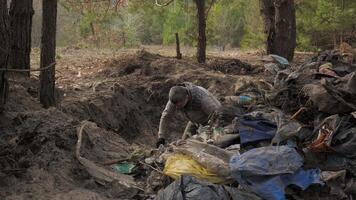 un trabajador borra el bosque de escombros, lanza basura fuera de un agujero sobre un grande pila de basura. seguro ecología concepto. video