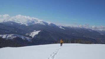 winter sport- en recreatie wandelen concept. Mens backpacker toerist wandelen sneeuw landschap. Karpaten berg bereik. 4k video