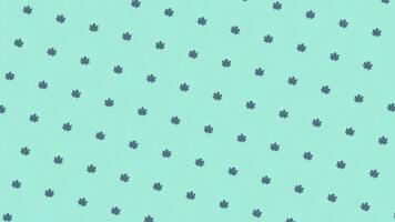 Abstract colorful pattern of small green leaves rotating and moving down on the turquoise background. Animation. Seamless loop animation photo