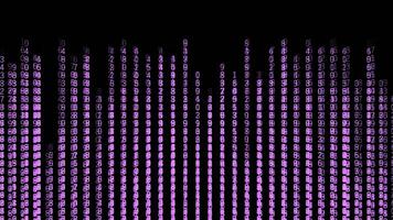 Rain of numbers in computer. Motion. Beautiful hacker background with lines of changing numbers. Matrix rain of colored changing numbers on black background photo