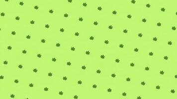 Abstract colorful pattern of small green leaves rotating and moving up on the green background. Animation. Seamless loop animation photo