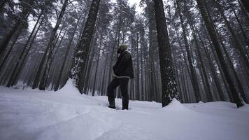 Stylish man poses in winter forest. Media. Shooting stylish man in winter forest. Fashion shooting of man in winter forest photo