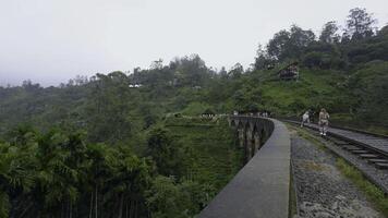 Tourists walk on bridge with railway in jungle. Action. Hiking along ancient stone bridge in jungle. Beautiful landscape from bridge on hills of green jungle photo