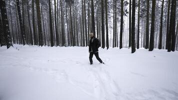 Man walks stylishly in winter forest. Media. Fashionable shot of stylish man walking in winter forest. Winter fashion shooting in forest photo