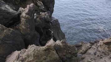 hermosa rocas por agua. acortar. Roca acantilados de costa con tranquilo mar agua. ver desde borde de Roca apuntalar a mar agua foto