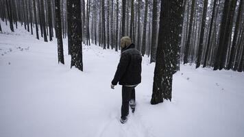 Rear view of stylish man walking in winter. Media. Stylish shooting of man walking in winter forest. Man walks with fashionable gait in winter forest photo