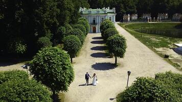 Beautiful newlyweds in palace garden. Creative. Top view of newlyweds in beautiful garden. Newlyweds' wedding walk in garden on sunny summer day photo