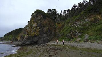 People walk on shore with rocks and trees. Clip. People are walking on beautiful beach with large rocky block. Walk on northern beach with rocks on cloudy summer day photo